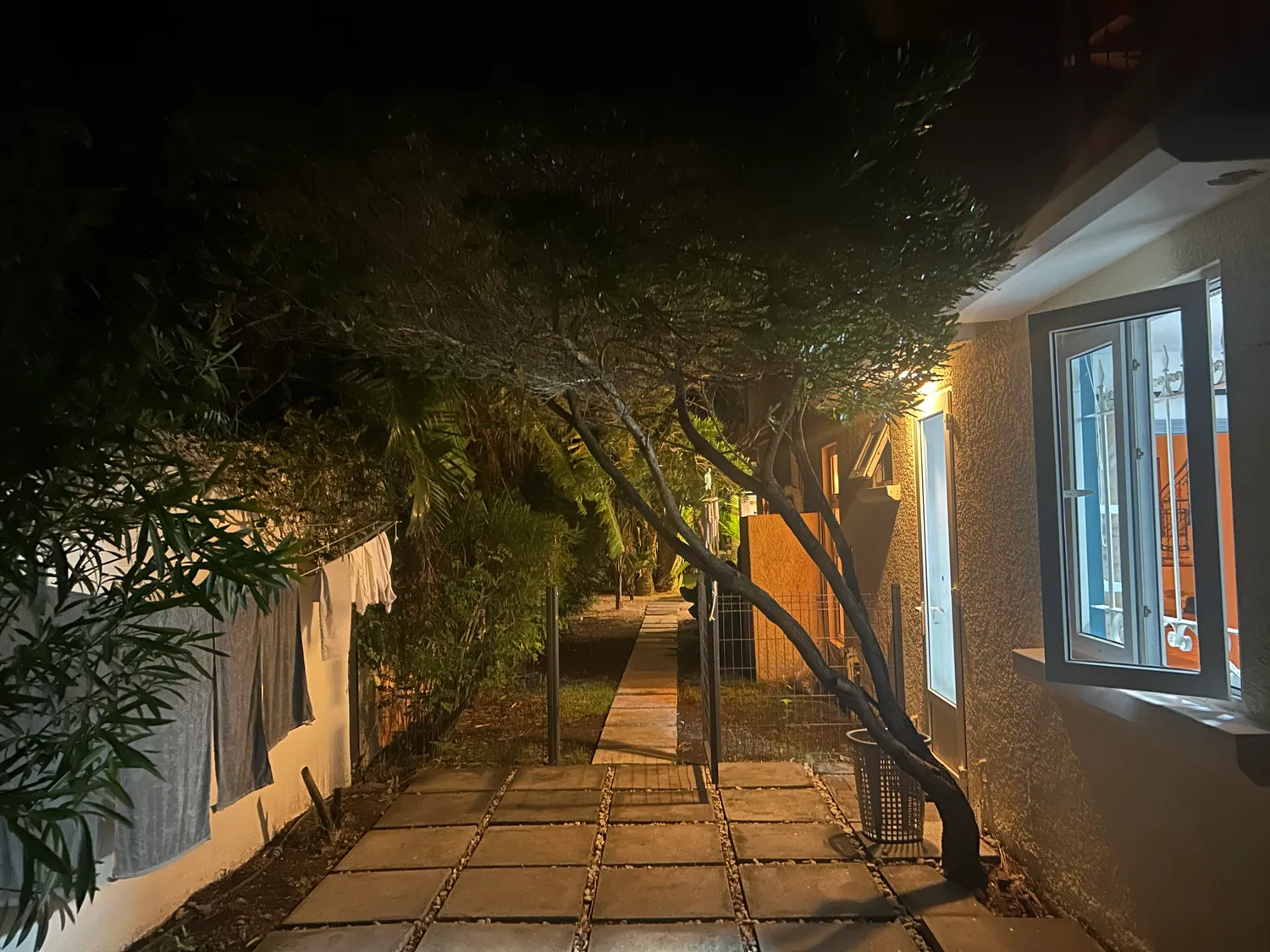 Allée éclairée du jardin à la tombée de la nuit