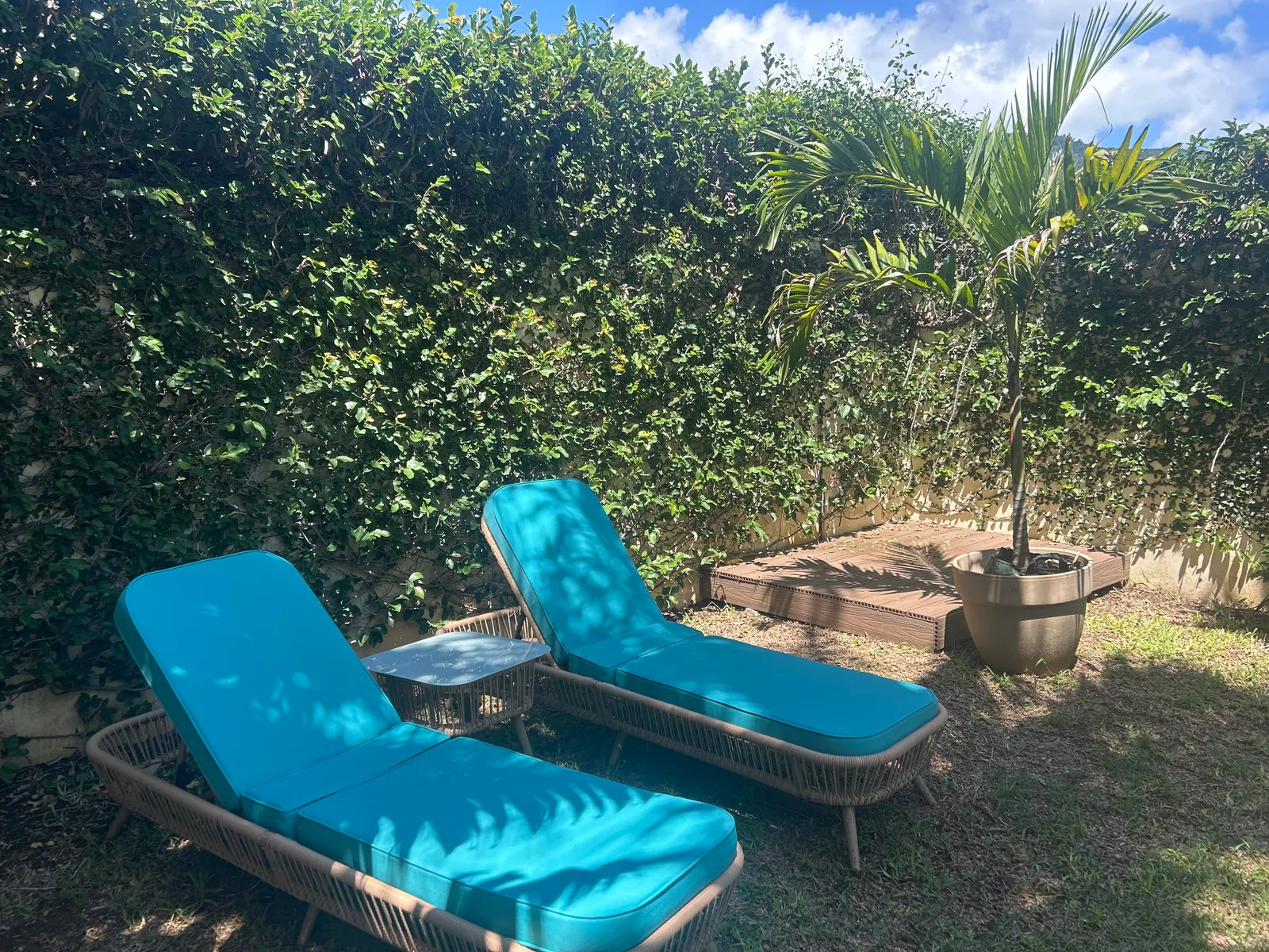 Transats au bord du jardin