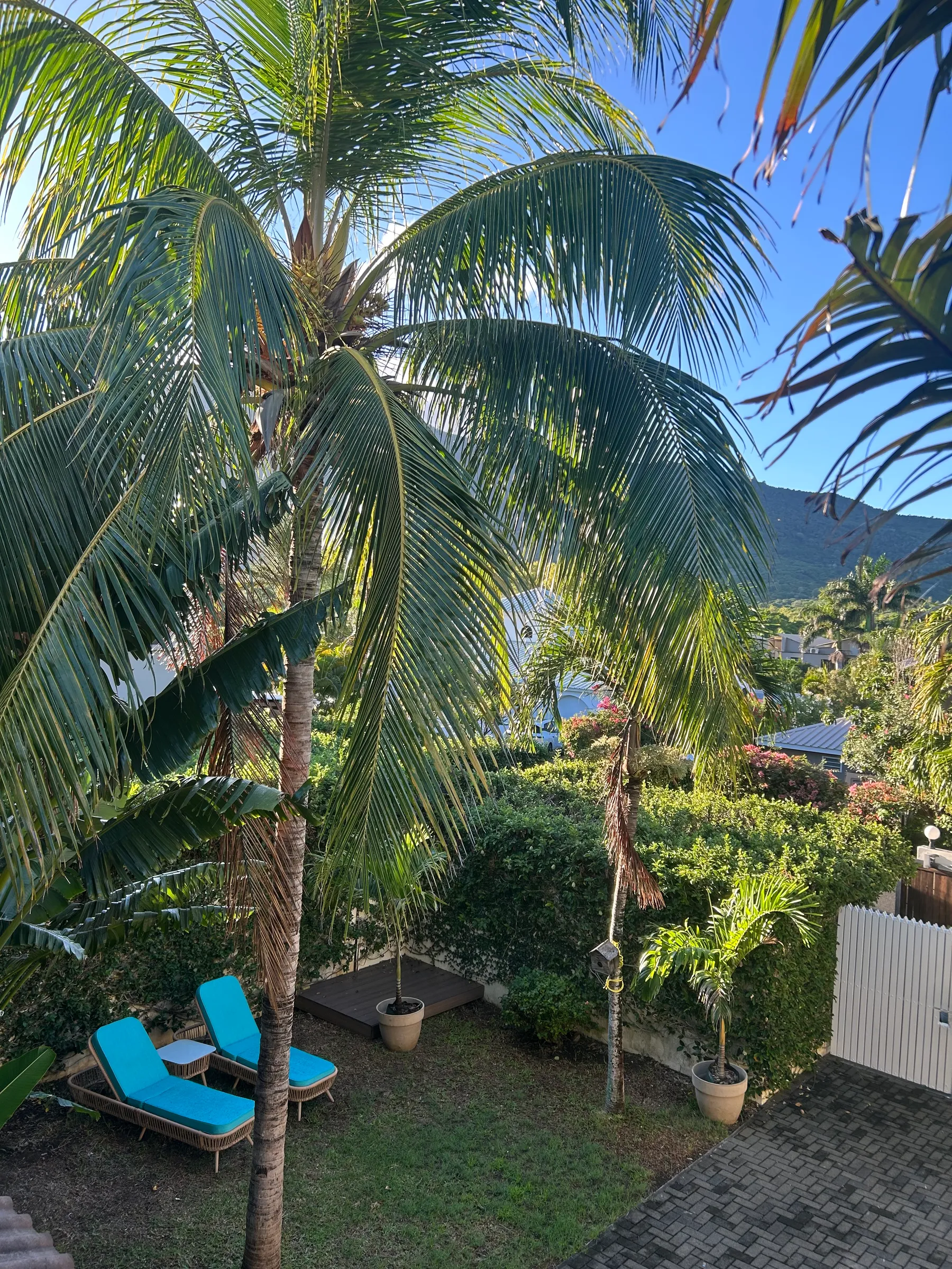 Piscine privée entourée de palmiers
