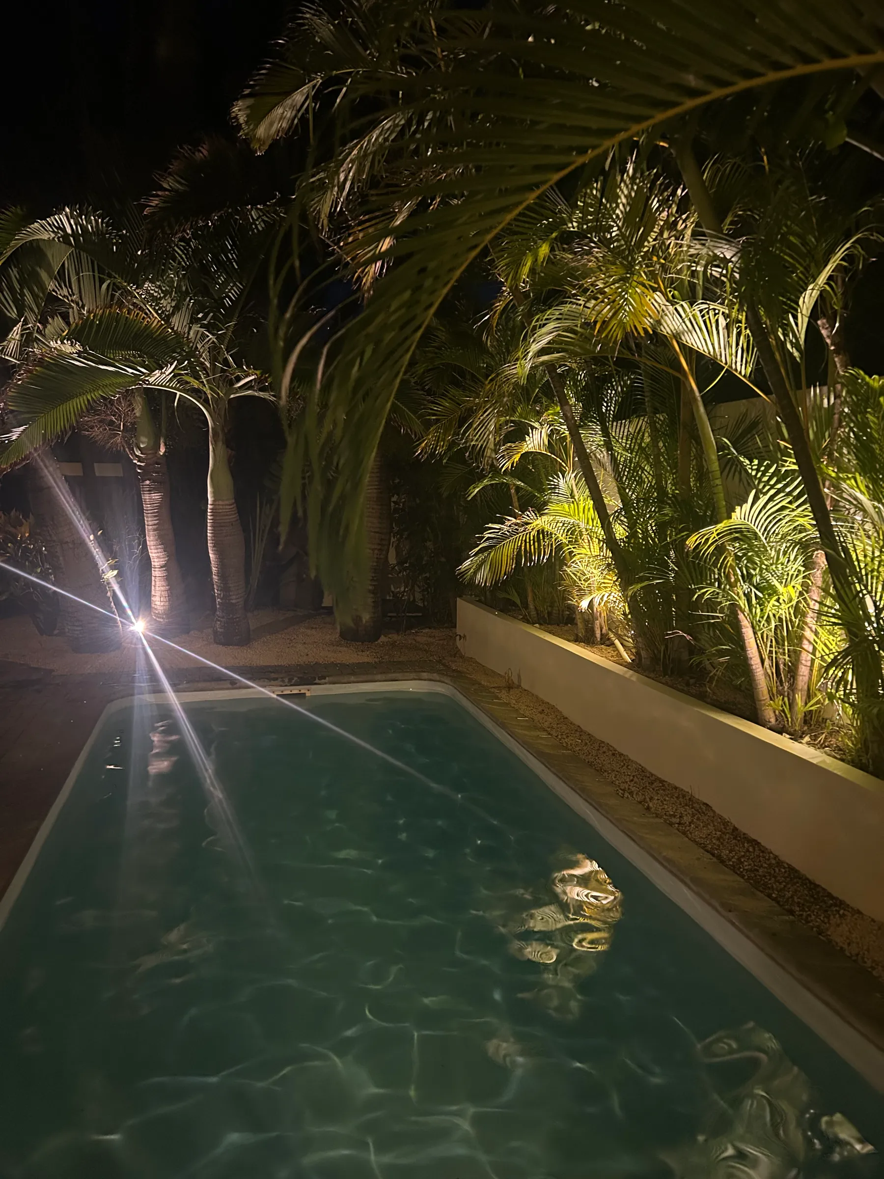 Piscine éclairée à la tombée de la nuit