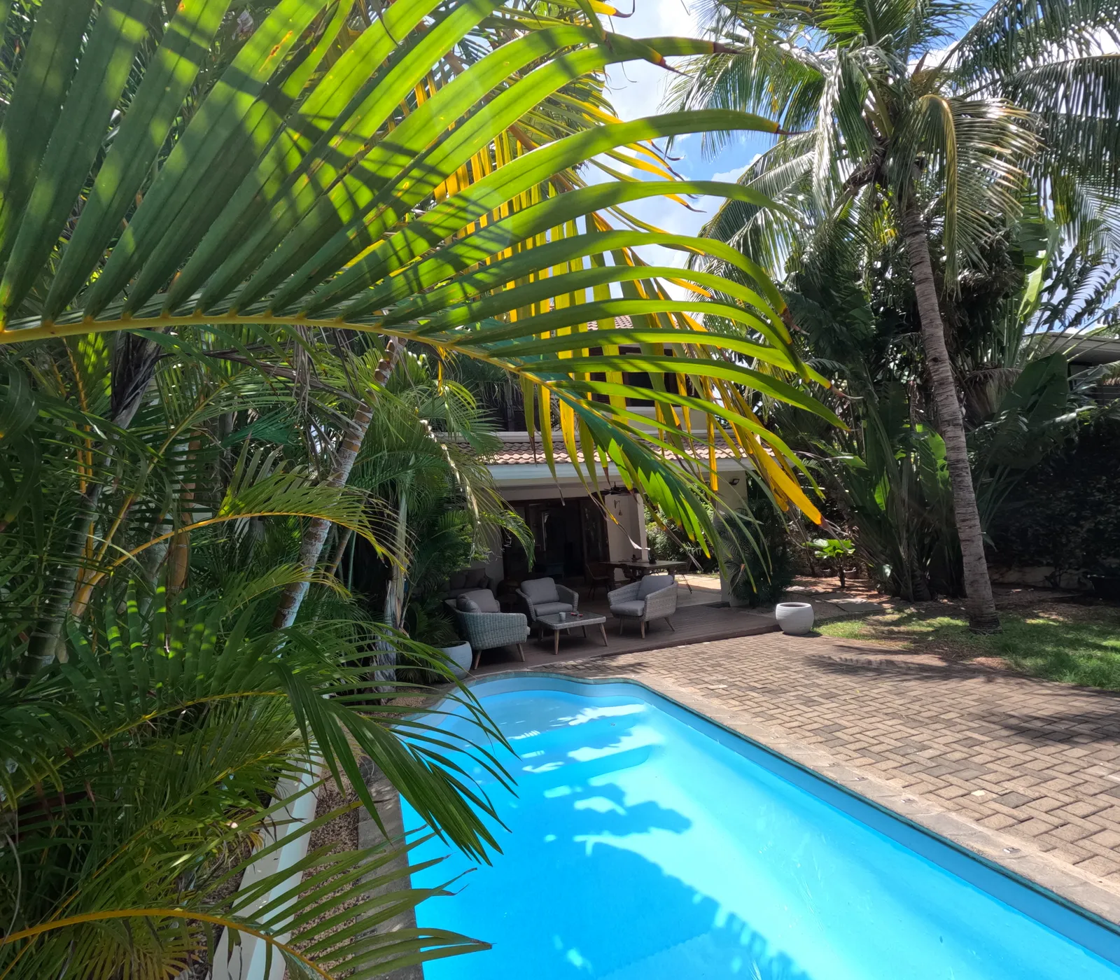 Vue sur la piscine entre les palmiers
